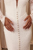 Close-up detailing of a long sleeved lace wedding dress_XS_